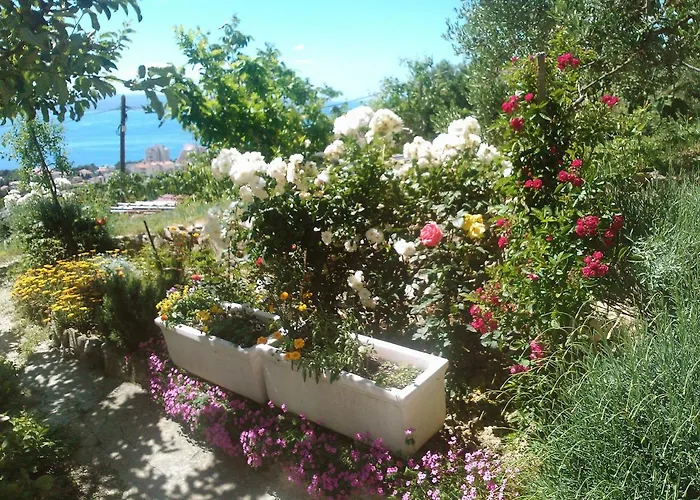 Appartement Mira-2 By Interhome